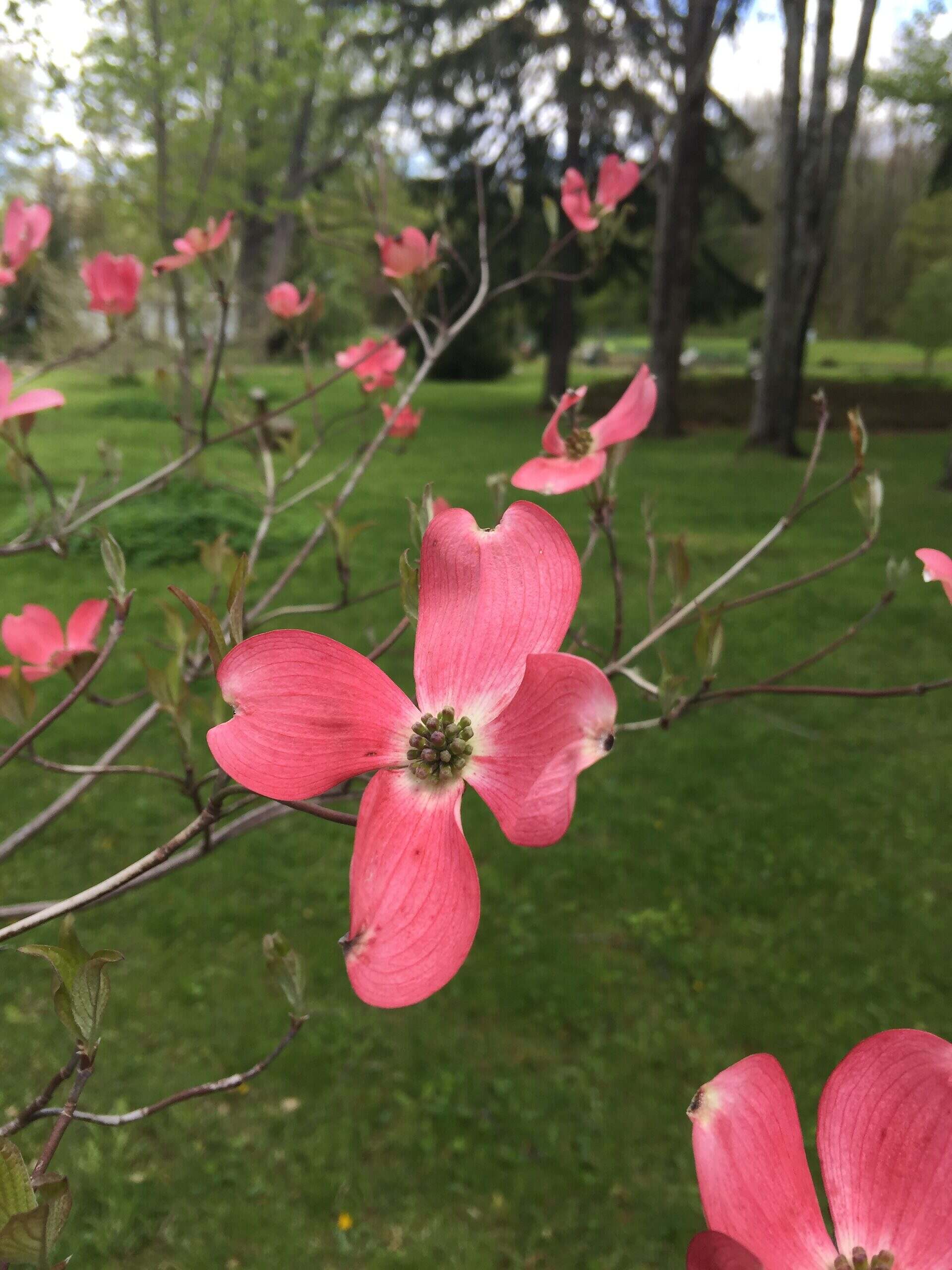 A beautiful day in Lily Dale