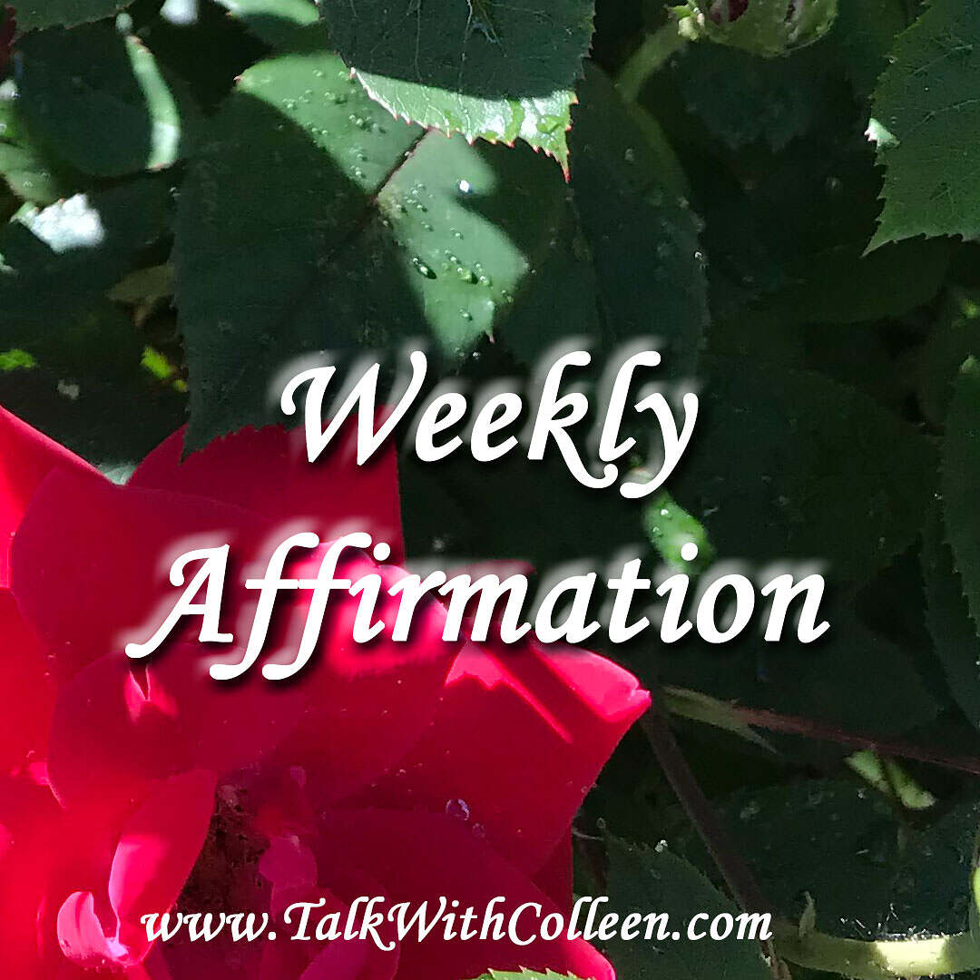 Weekly Affirmation – Gut Instincts