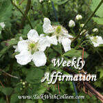 Weekly Affirmation – Better Person