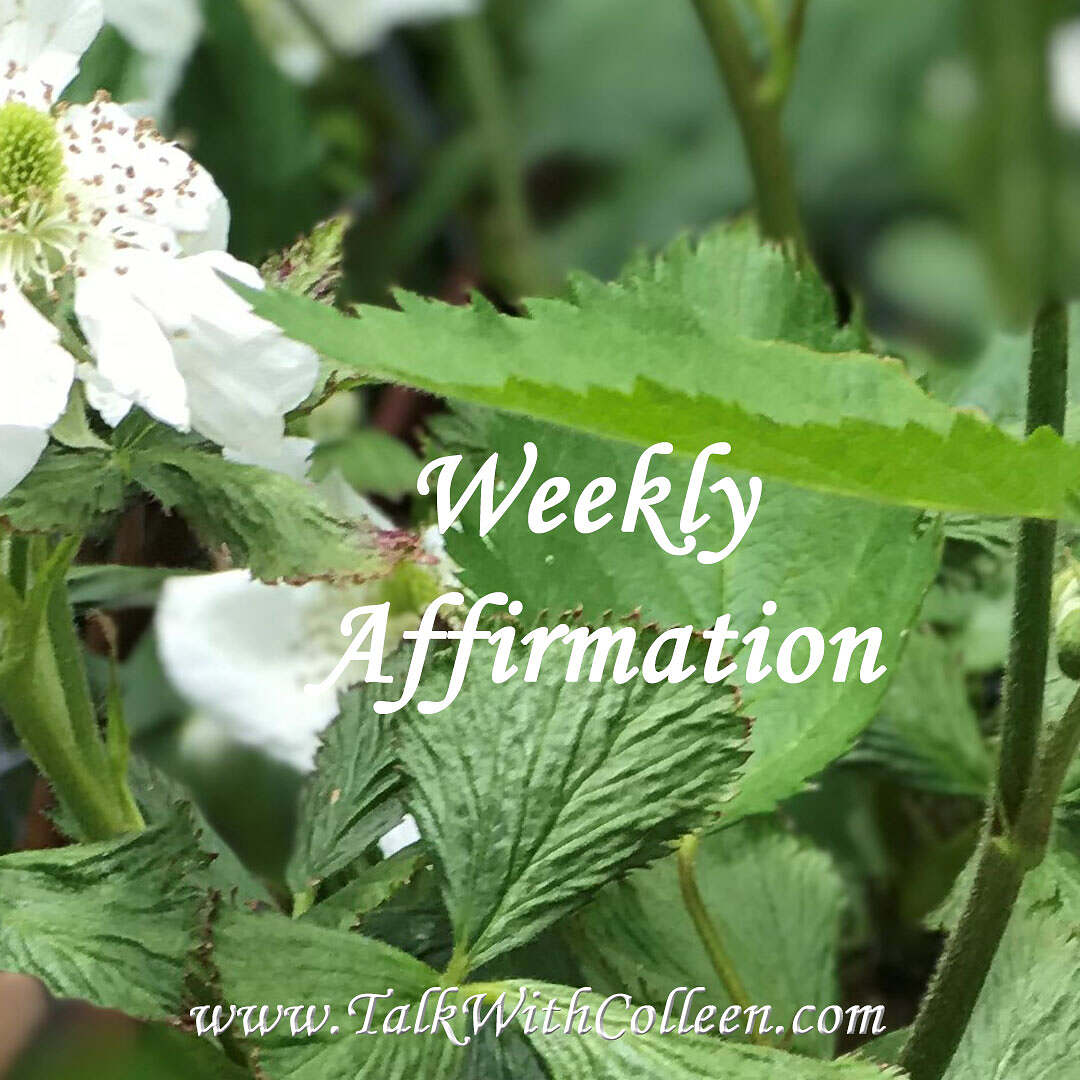 Weekly Affirmation – Life’s Purpose