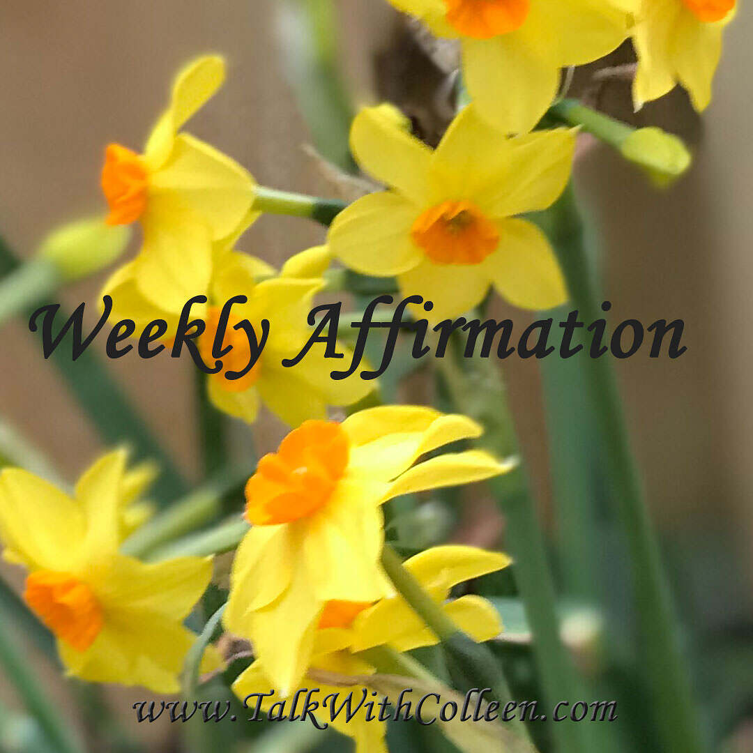 Weekly Affirmation – Taking Risks