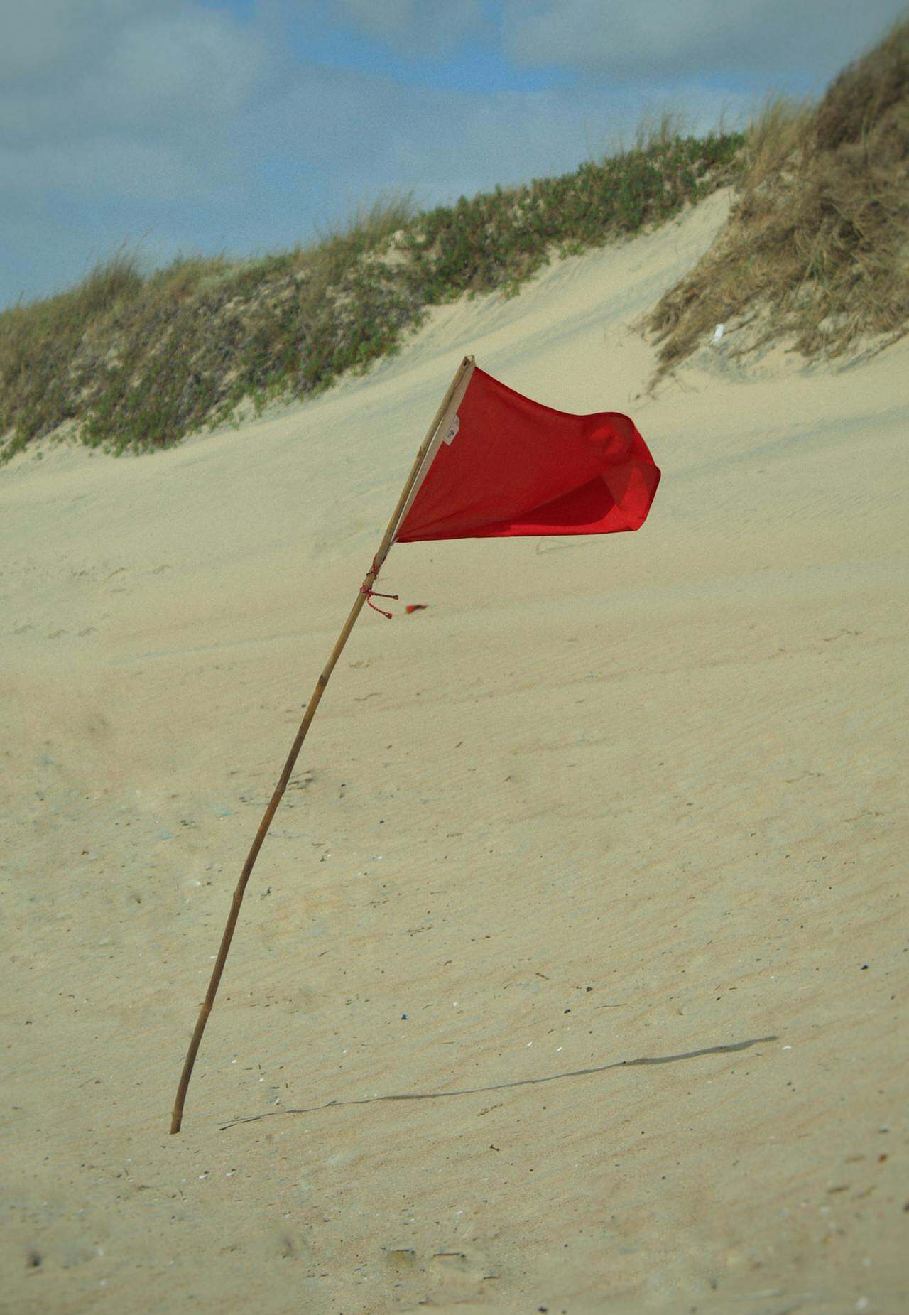 Reading Red Flags