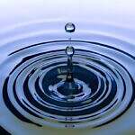 The Ripple Effect: How Everyday Actions Create Change