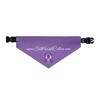 Cool Pet Bandana Collar with Spiritual Design - Perfect for Dog Lovers - Image 9
