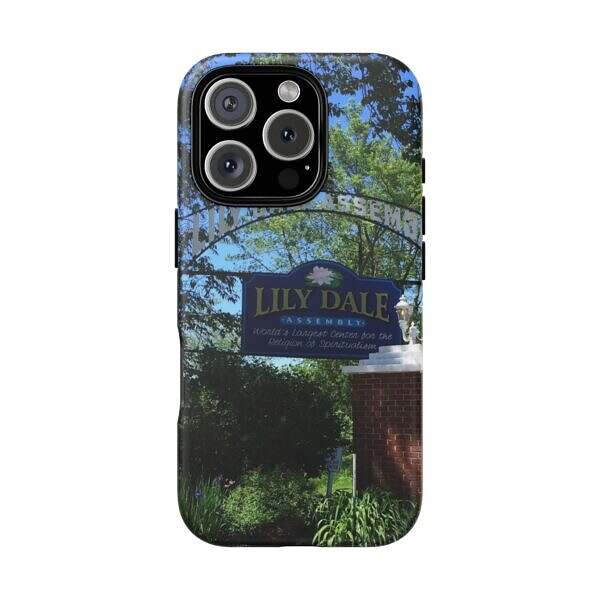 Lily Dale Front Gate - Image 37