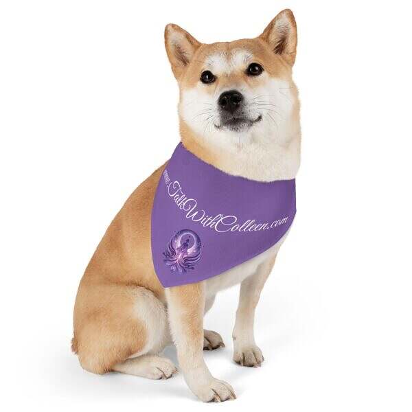 Cool Pet Bandana Collar with Spiritual Design - Perfect for Dog Lovers - Image 5