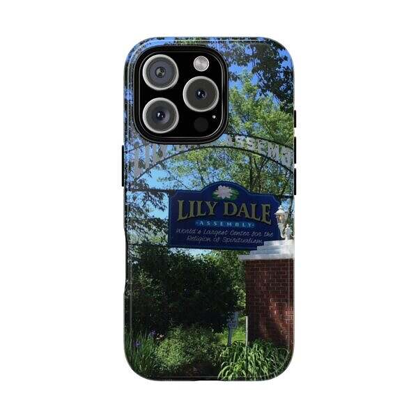 Lily Dale Front Gate - Image 33