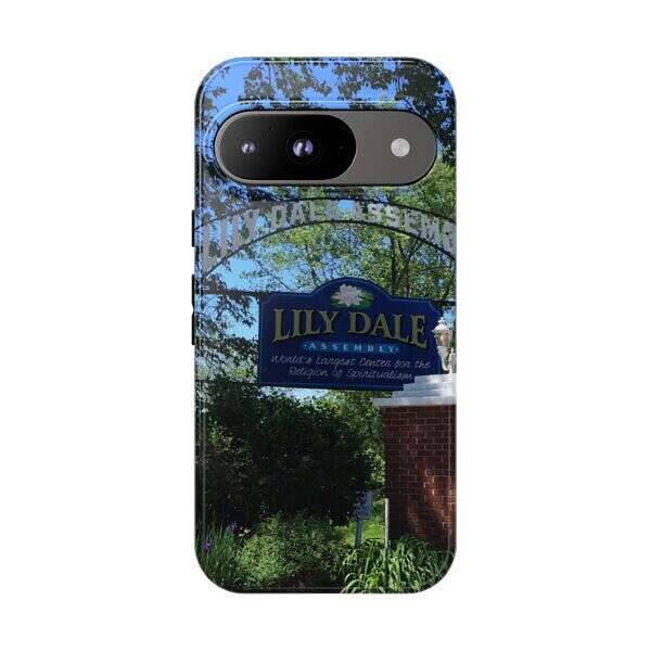 Lily Dale Front Gate - Image 11