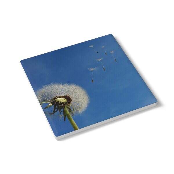 Dandelion Floral Ceramic Coaster - Motivational Home Decor - Image 7