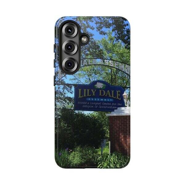 Lily Dale Front Gate - Image 17