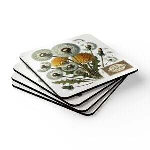 Dandelion Corkwood Coaster Set