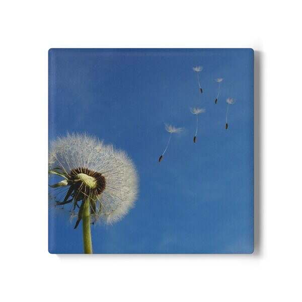 Dandelion Floral Ceramic Coaster - Motivational Home Decor - Image 5