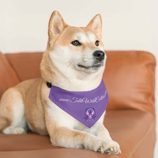 Cool Pet Bandana Collar with Spiritual Design - Perfect for Dog Lovers