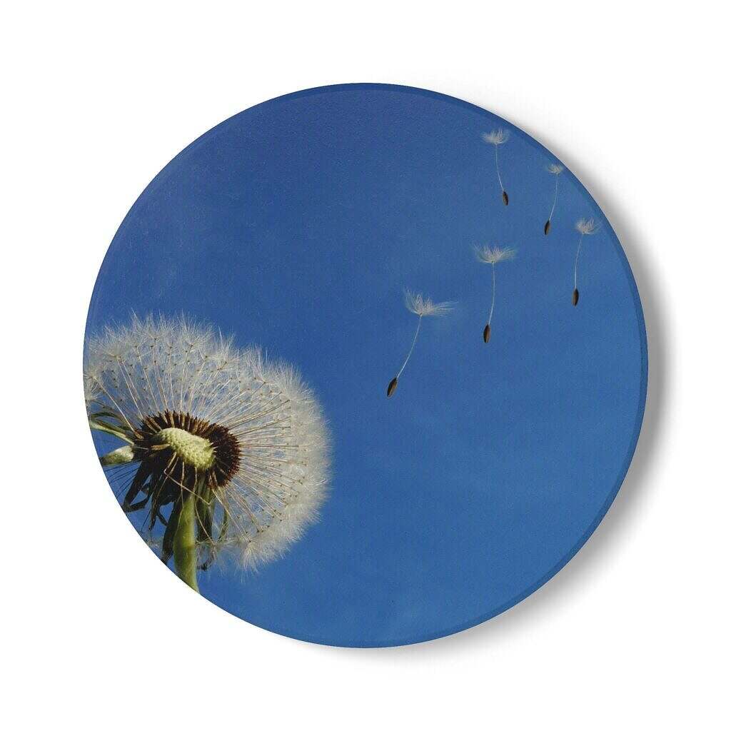 Dandelion Floral Ceramic Coaster - Motivational Home Decor