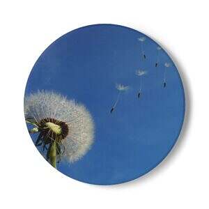 Dandelion Floral Ceramic Coaster - Motivational Home Decor