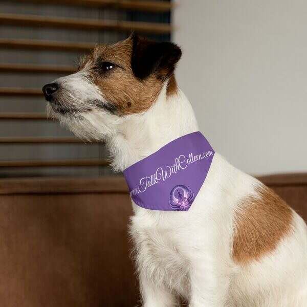 Cool Pet Bandana Collar with Spiritual Design - Perfect for Dog Lovers - Image 8