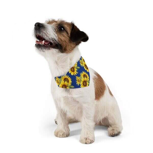 Sunflower Pattern Pet Bandana Collar – Perfect for Dogs on Sunny Days - Image 10
