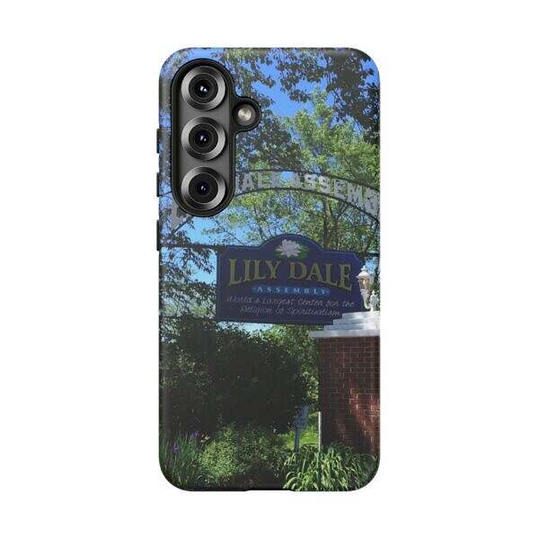 Lily Dale Front Gate - Image 21