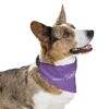 Cool Pet Bandana Collar with Spiritual Design - Perfect for Dog Lovers - Image 11