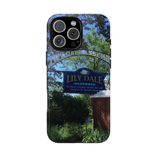 Lily Dale Front Gate - Image 41