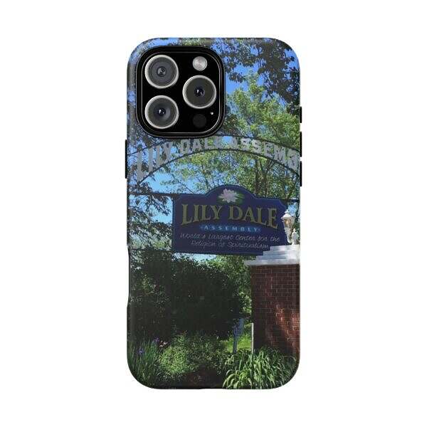 Lily Dale Front Gate - Image 45
