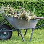 Image of a wheel barrow full of weeds in a garden.