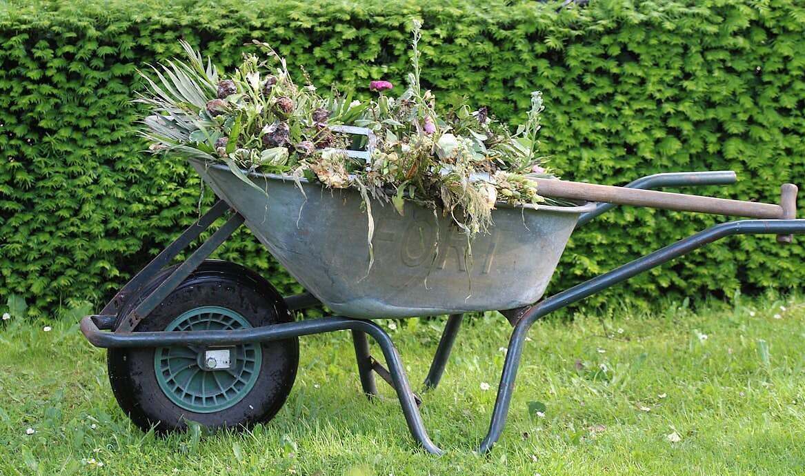 Image of a wheel barrow full of weeds in a garden.