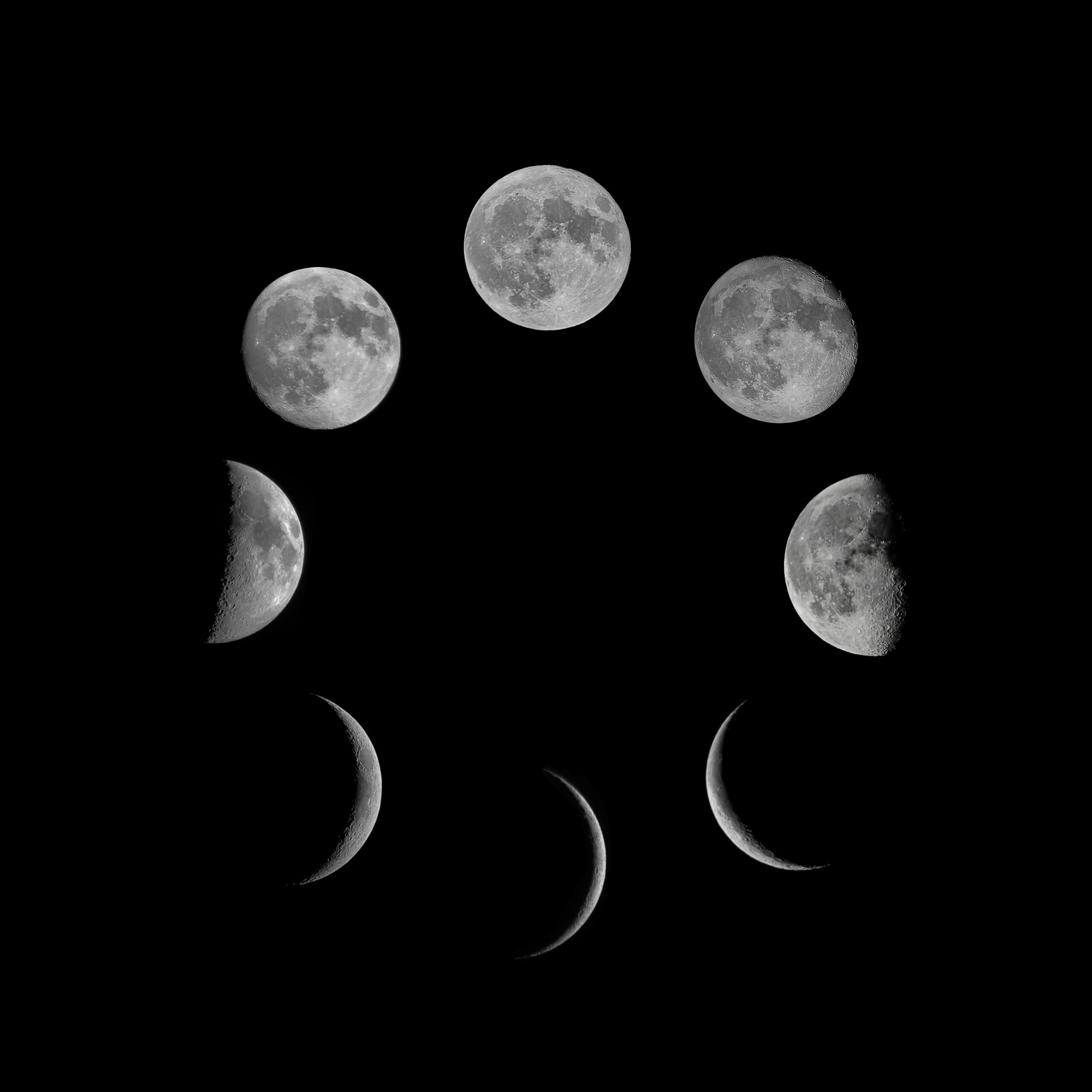 Image of the phases of the moon