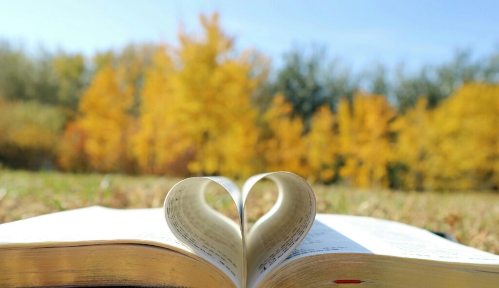 Image of a book with pages shaped like a heart