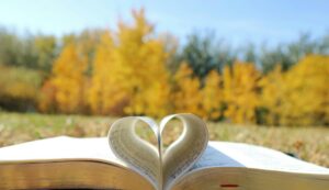 Image of a book with pages shaped like a heart