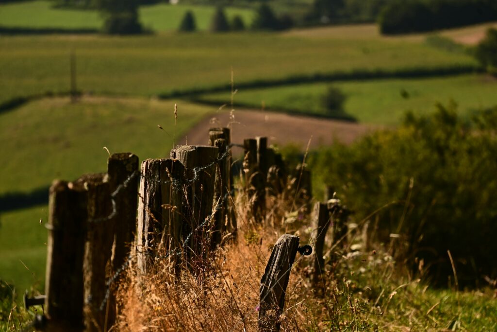 Image of a fence defining boundaries.