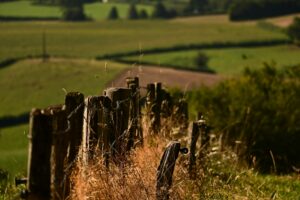 Image of a fence defining boundaries.