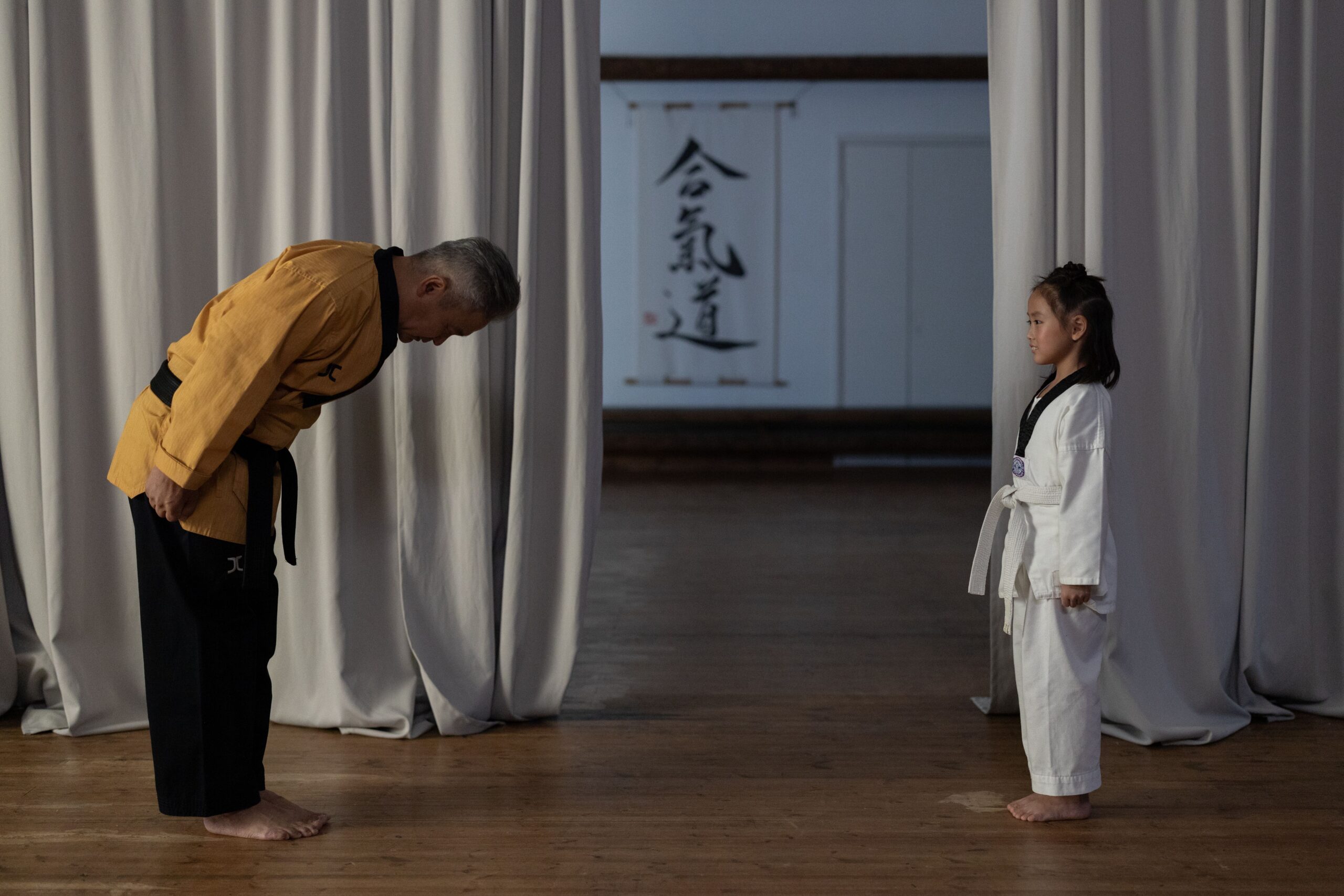 Image of a karate instructor and a student.